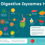 Unlocking the Secrets of Digestive Enzymes: Your Ultimate Guide to Gut Health and Nutrient Absorption