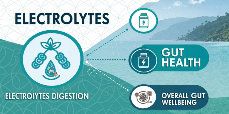 Electrolytes and gut health